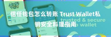 信任钱包怎么转账 Trust Wallet私钥安全料理指南